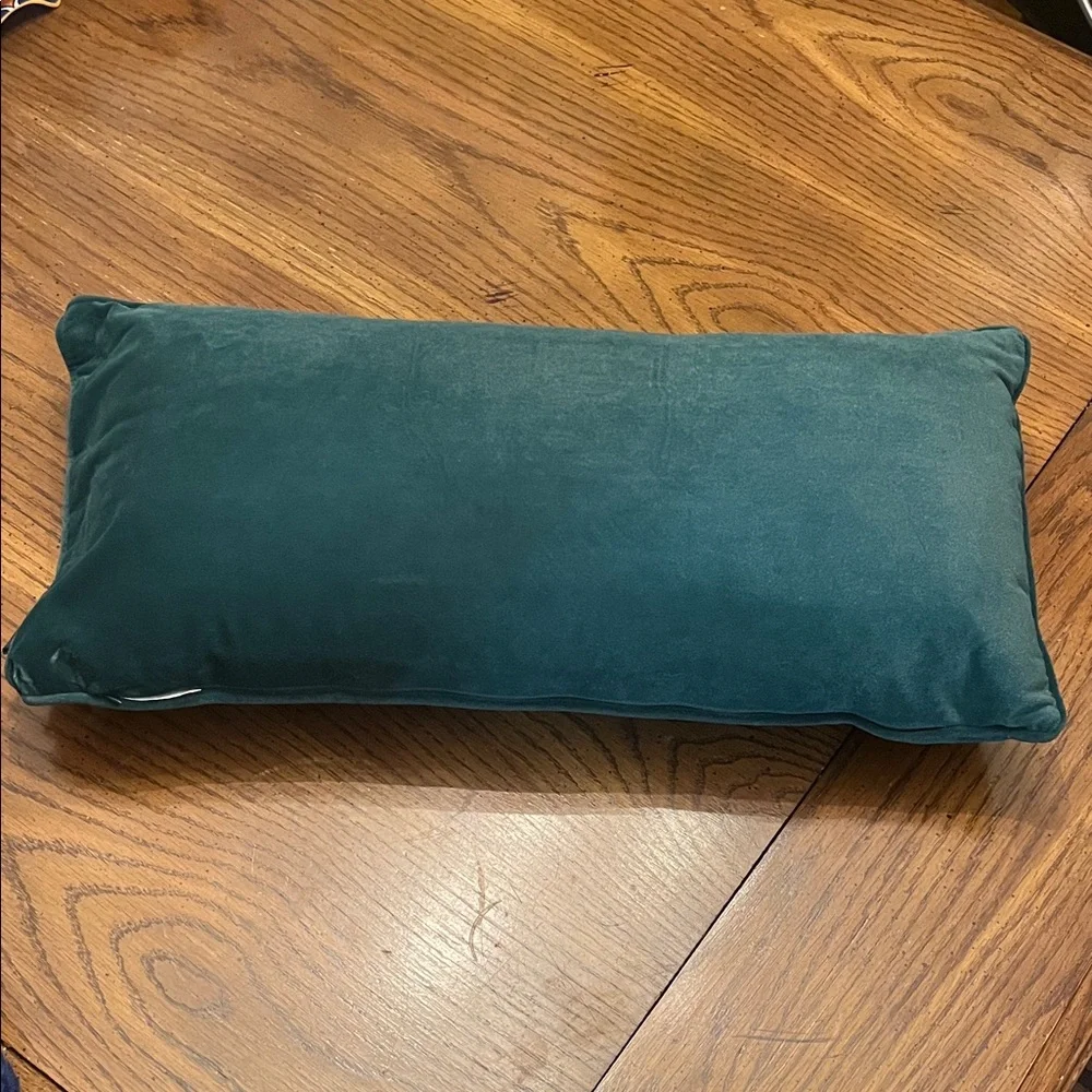 Cynthia Rowley Christmas Vacation velvet glamping pillow‎